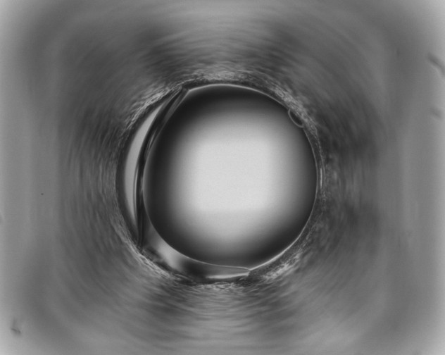 X0000098010201200804071336