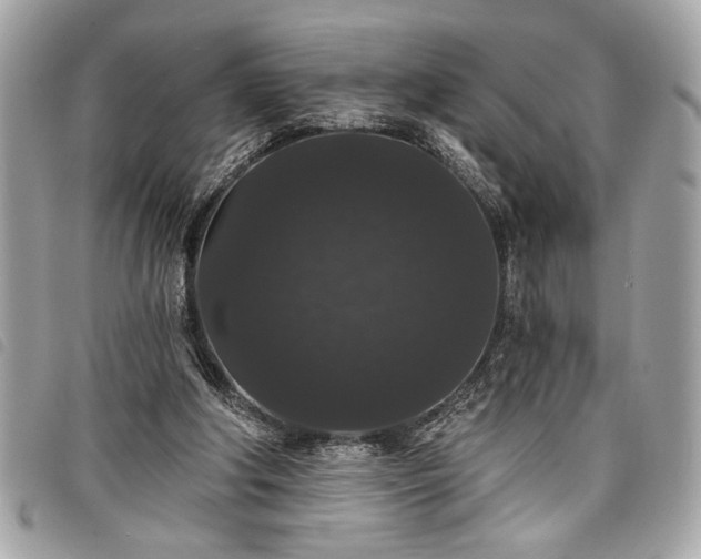 X0000098010202200804071336