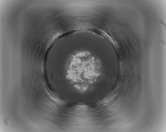 X0000098010203200804071336