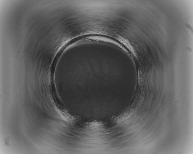 X0000098010204200804071336