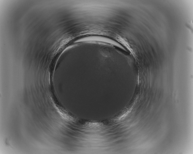 X0000098010205200804071336