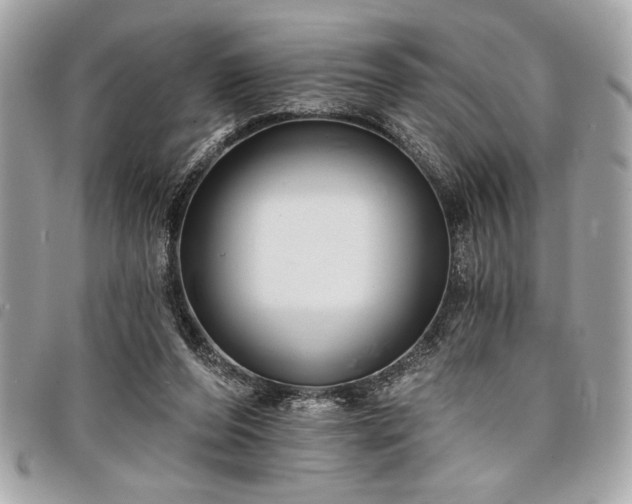 X0000098010208200804071336