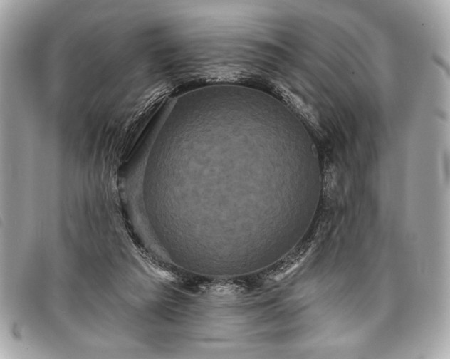 X0000098010209200804071336