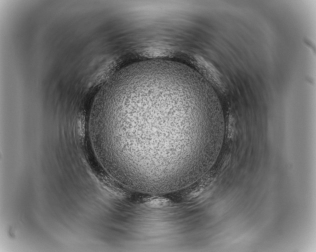 X0000098010210200804071336