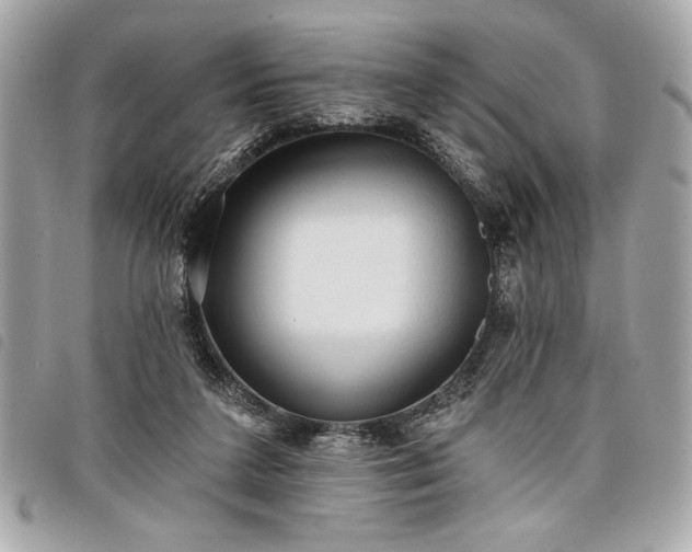 X0000098010211200804071336