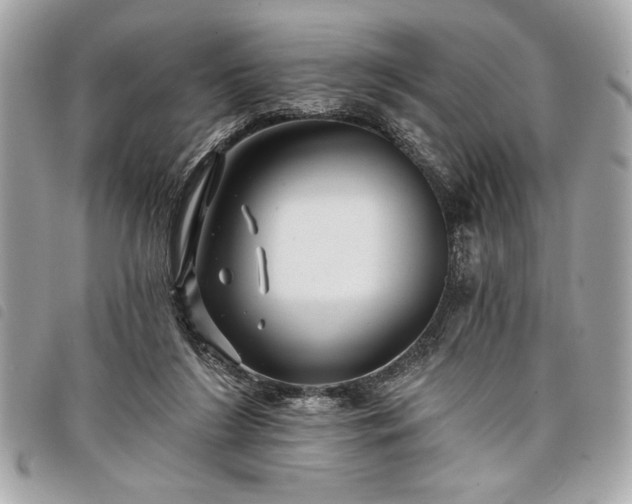 X0000098010212200804071336