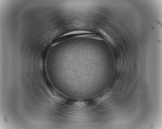 X0000098010213200804071336