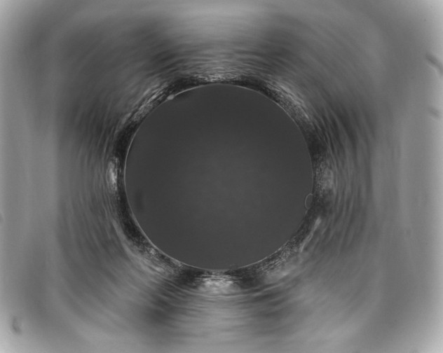 X0000098010214200804071336