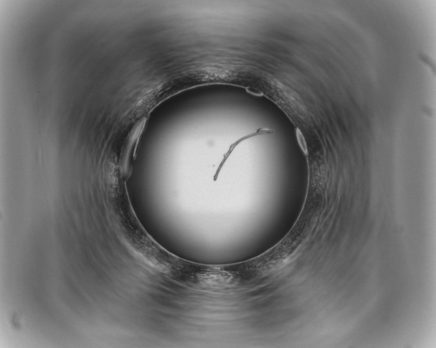 X0000098010215200804071336