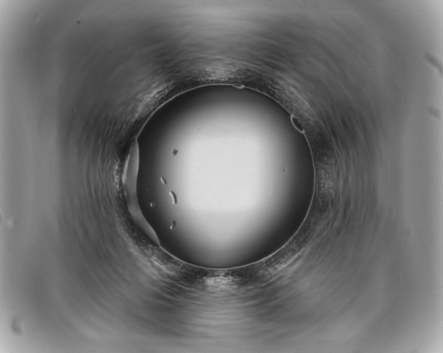 X0000098010216200804071336