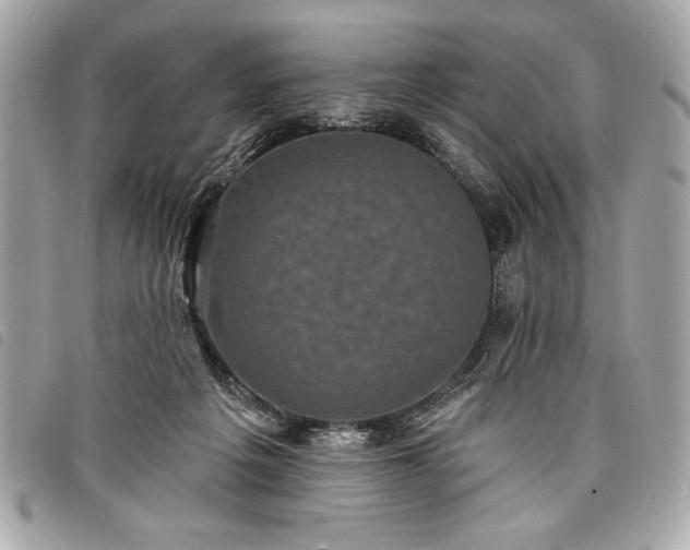 X0000098010217200804071336