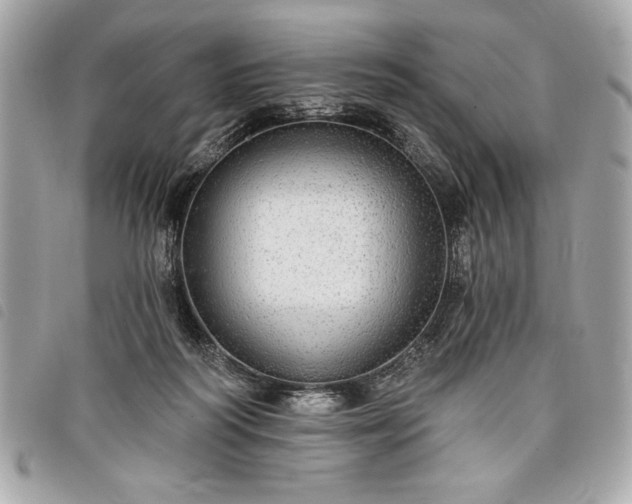 X0000098010218200804071336