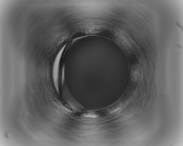 X0000098010219200804071336