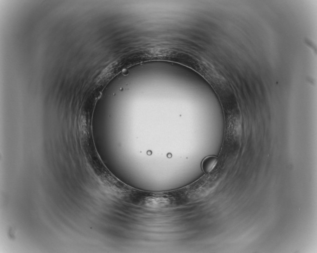 X0000098010220200804071336