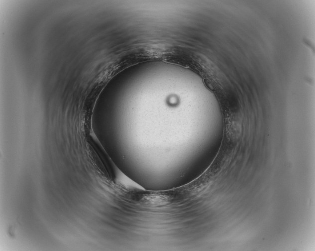 X0000098010221200804071336