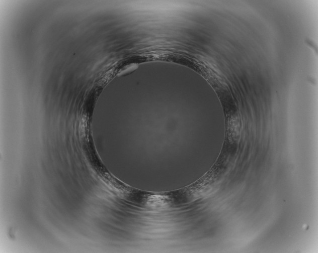 X0000098010222200804071336