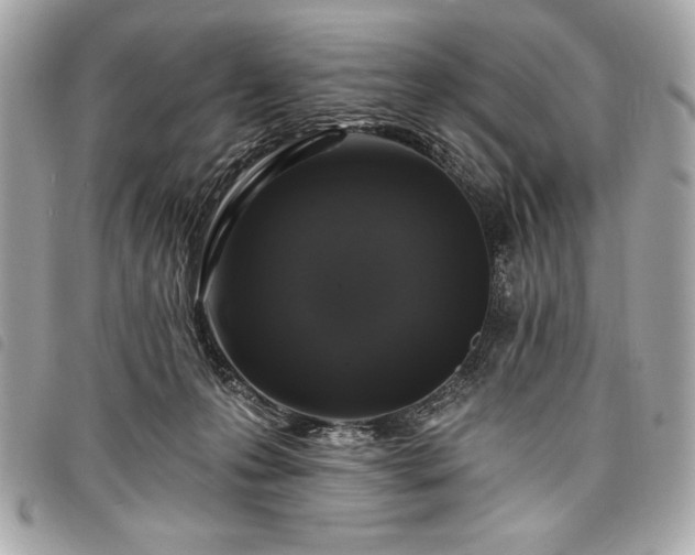 X0000098010223200804071336