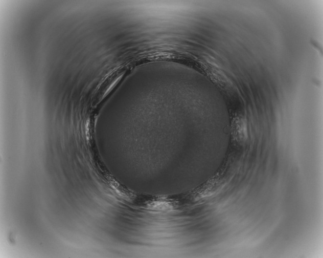 X0000098010224200804071336