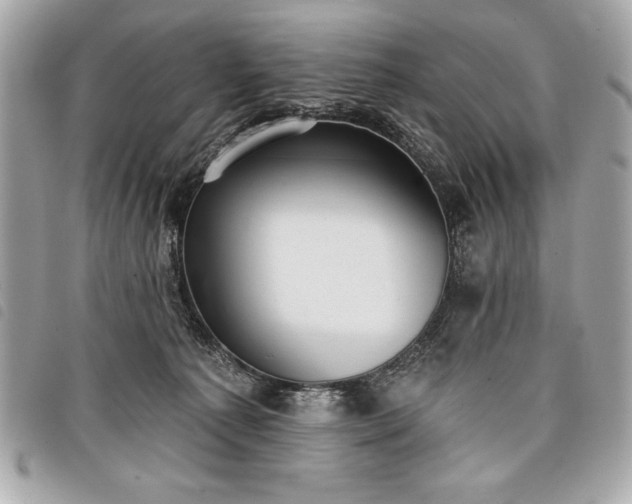 X0000098010225200804071336