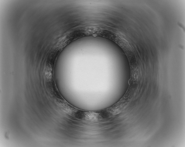 X0000098010226200804071336