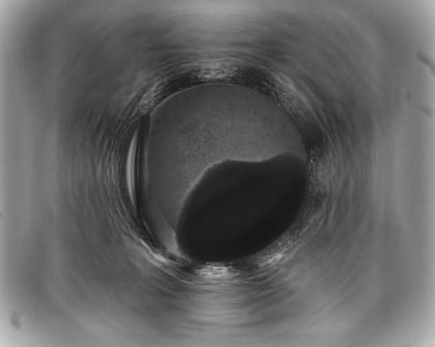 X0000098010227200804071336