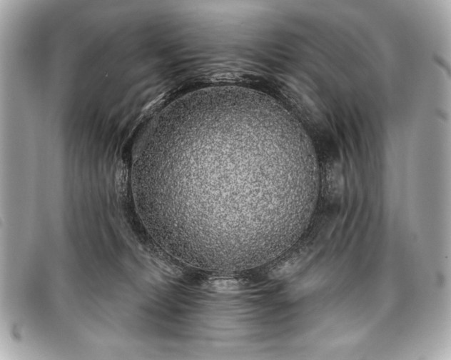 X0000098010228200804071336