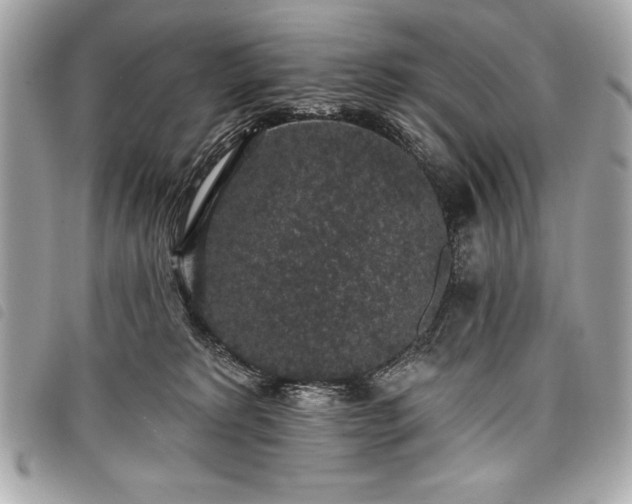 X0000098010229200804071336