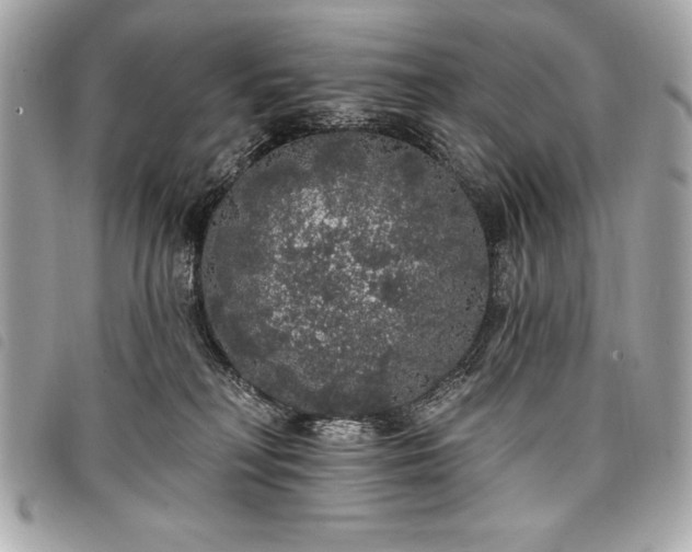 X0000098010230200804071336