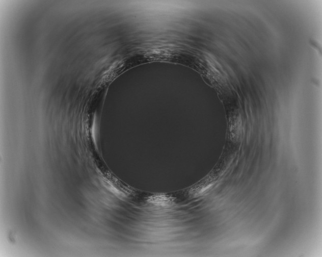 X0000098010231200804071336