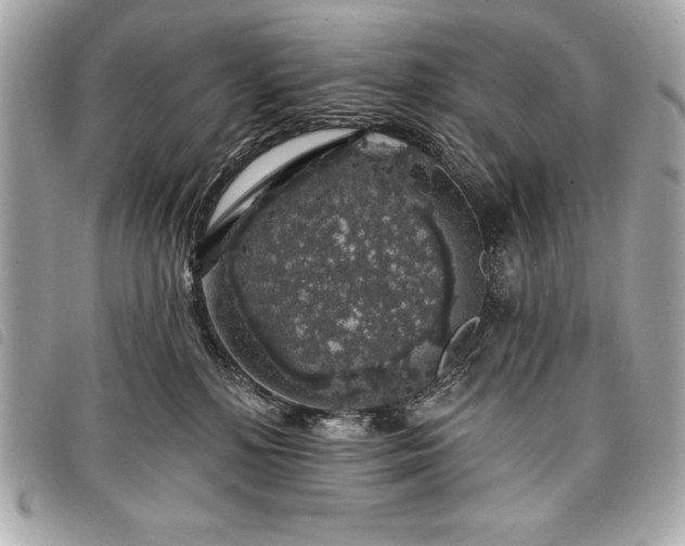 X0000098010232200804071336