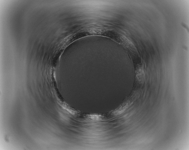 X0000098010233200804071336