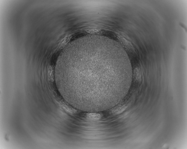 X0000098010234200804071336