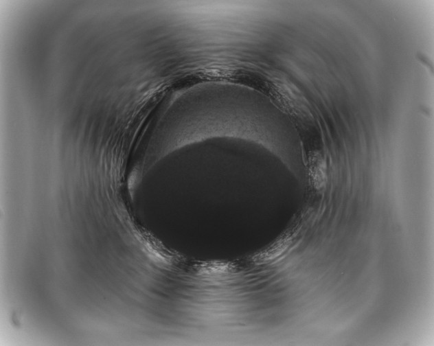 X0000098010235200804071336