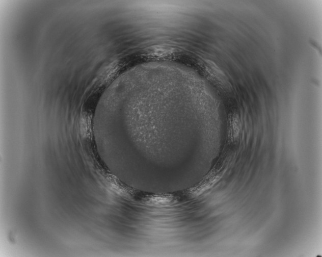 X0000098010236200804071336