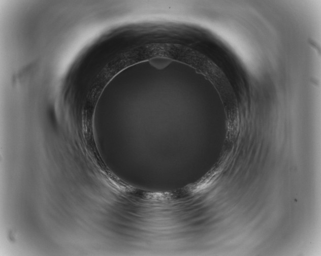 X0000098010239200804071335