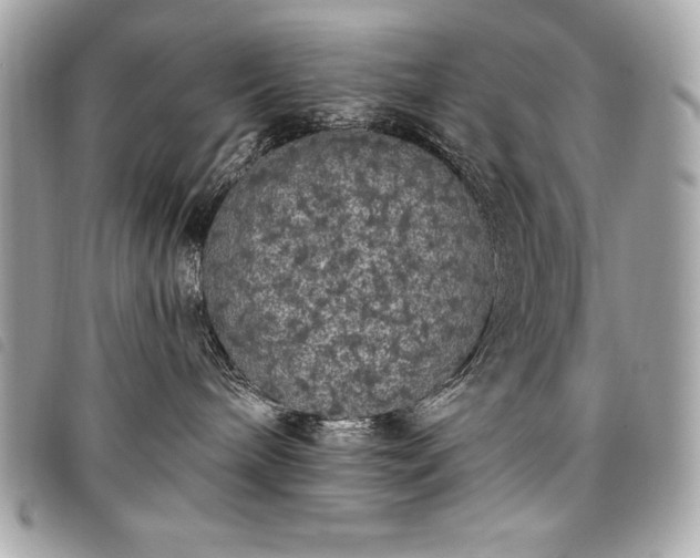 X0000098010240200804071335