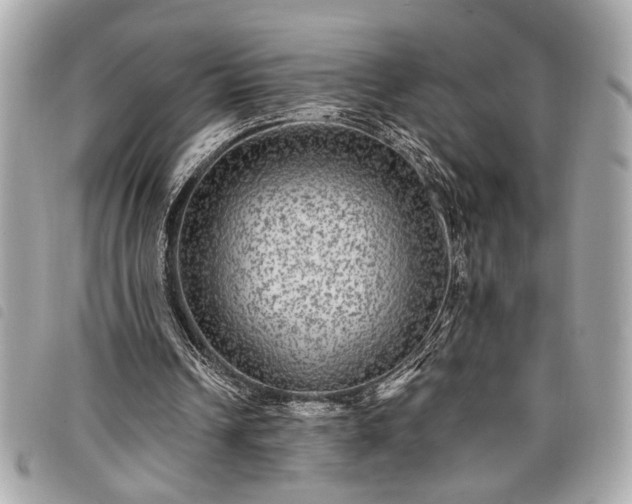 X0000098010242200804071335