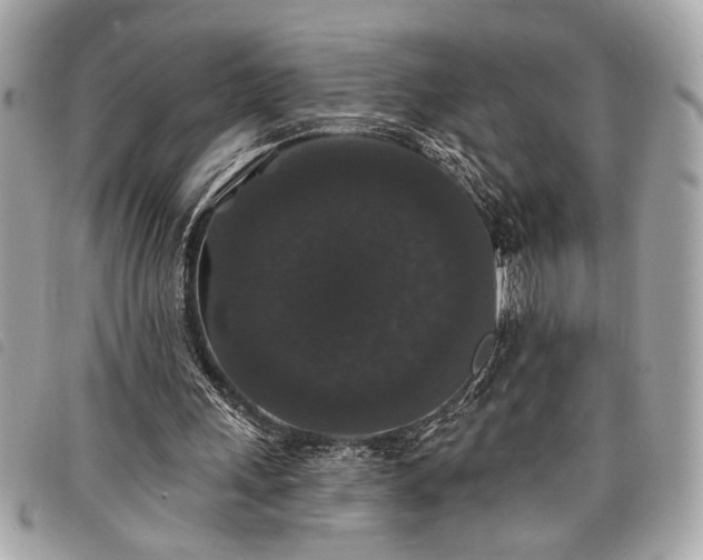 X0000098010243200804071335