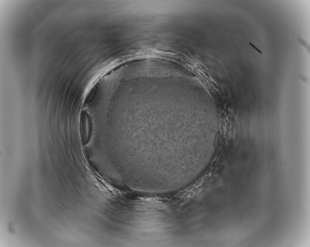 X0000098010244200804071335