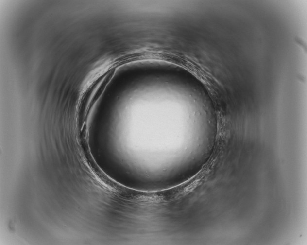 X0000098010245200804071335