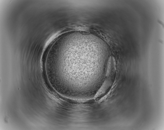 X0000098010246200804071335