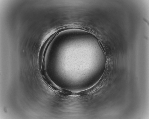 X0000098010248200804071335