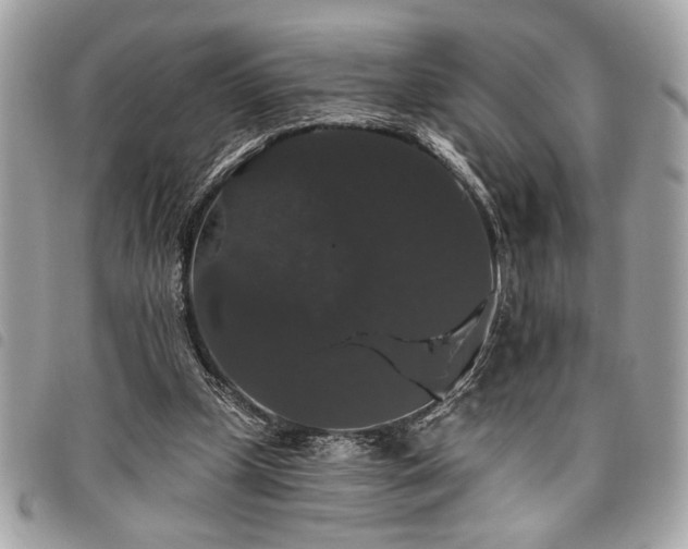 X0000098010249200804071335