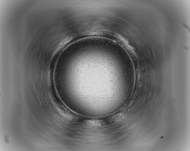 X0000098010250200804071335