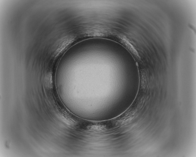 X0000098010251200804071335