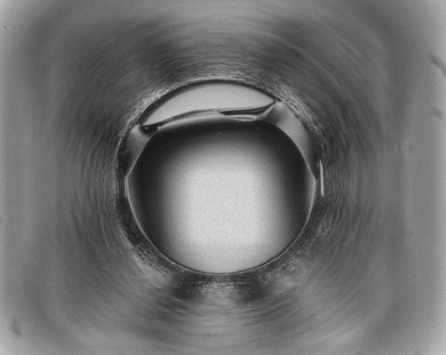 X0000098010252200804071335