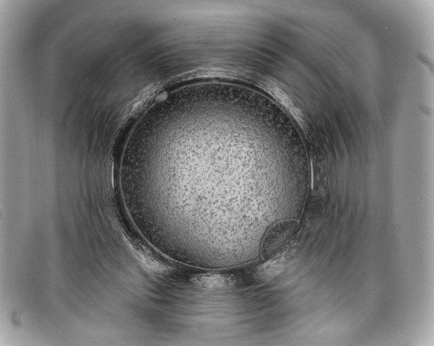 X0000098010253200804071335