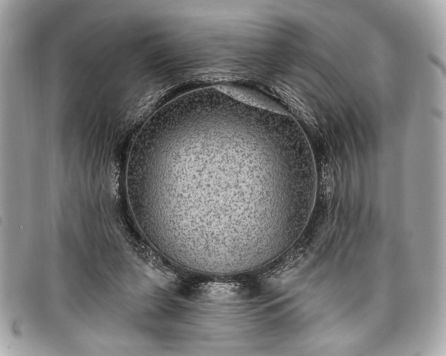 X0000098010255200804071335