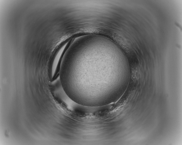 X0000098010256200804071335