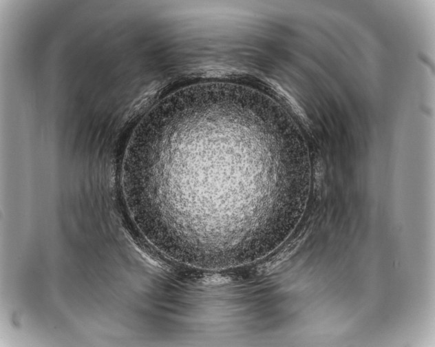 X0000098010257200804071335